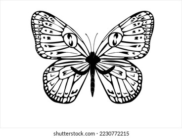 cat butterfly vector had drawn design vector