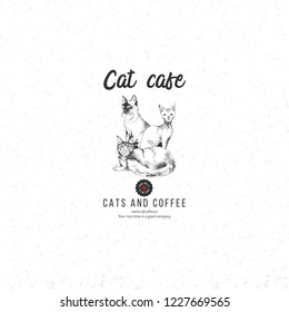 Cat cafe logo template with hand drawn cats - siamese, shpynx and maine coon. Vector illustration