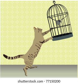 cat with cage and the bird