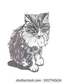 Cat Can be used for wallpaper, pattern fills, textile, web page background, surface textures, Image for advertising booklets, banners.