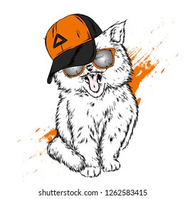 Cat in a cap and glasses. Hipster. Hand-drawn vector illustration.