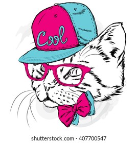 Cat in a cap and glasses. Vector illustration.