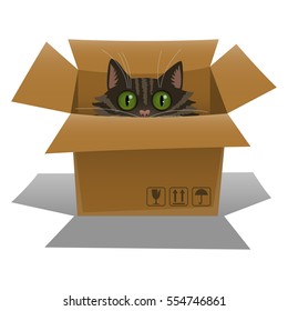Cat in a cardboard box. Kitten is looking out of a box. Vector illustration