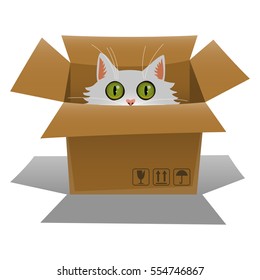 Cat in a cardboard box. Kitten is looking out of a box. Vector illustration