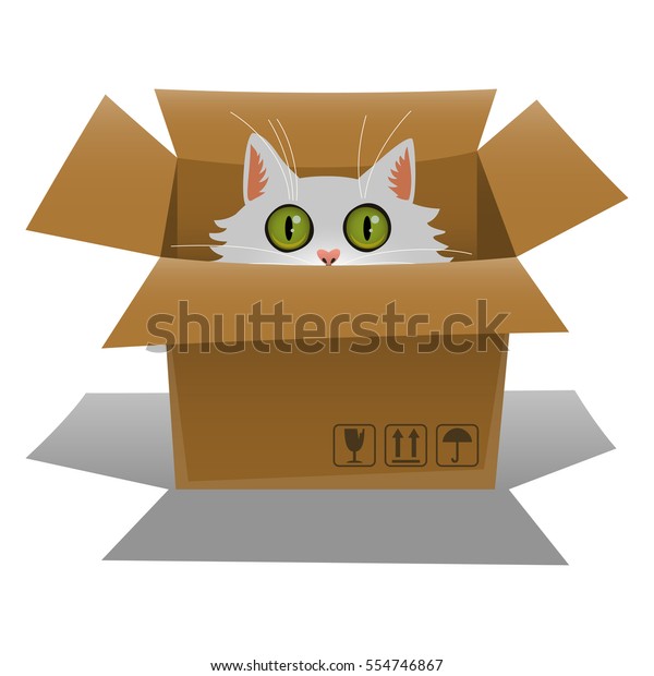 Cat Cardboard Box Kitten Looking Out Stock Vector (Royalty Free