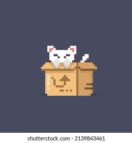 cat in the cardboard box with pixel style