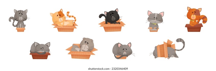 Cat and Cardboard Box Sitting Inside and Playing Vector Set