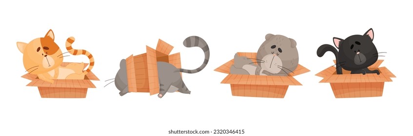 Cat and Cardboard Box Sitting Inside and Playing Vector Set