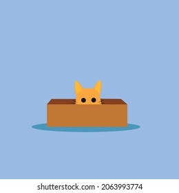 Cat in the Cardboard. This image can be used for background, book cover and more