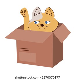 cat in carton box character