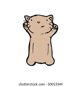 cat cartoon
