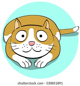 cat cartoon