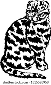 cat cartoon black and white