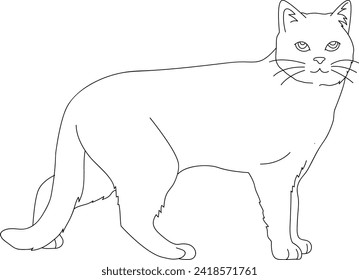 Cat cartoon black and white vector line art illustration