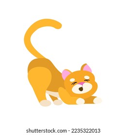 Cat cartoon character stretching vector illustration. Cute cat growing from little to adult and elderly, small stage of growth isolated on white background. Pets, time concept