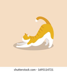 Cat cartoon character. vector illustration