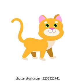 Cat cartoon character walking vector illustration. Cute cat growing from little to adult and elderly, young stage of growth isolated on white background. Pets, time concept