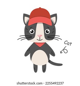 Cat cartoon characters with clothes . Vector .