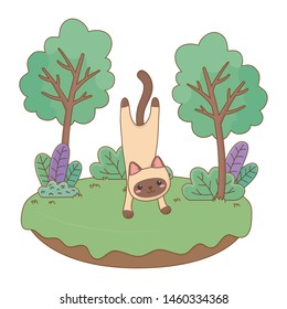 Cat cartoon design vector 