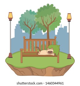Cat cartoon design vector 