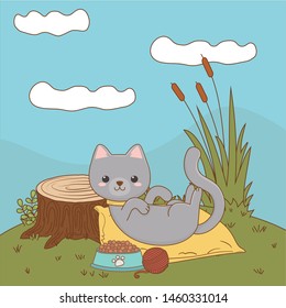 Cat cartoon design vector illustrator