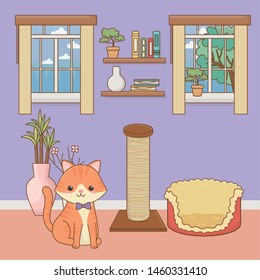 Cat cartoon design vector illustrator
