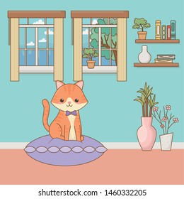 Cat cartoon design vector illustrator