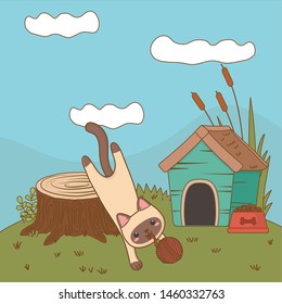 Cat cartoon design vector illustrator