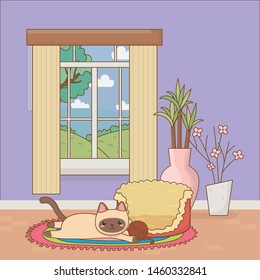 Cat cartoon design vector illustrator