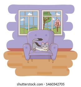 Cat cartoon design vector illustrator