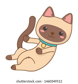 Cat cartoon design vector illustrator
