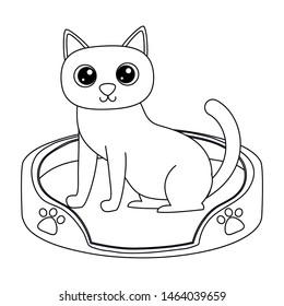 Cat cartoon design vector illustrator