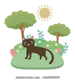 Cat cartoon design vector illustrator