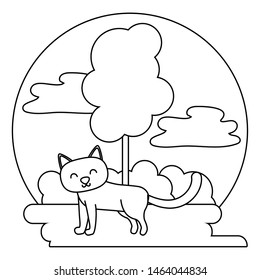 Cat cartoon design vector illustrator