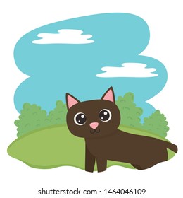 Cat cartoon design vector illustrator