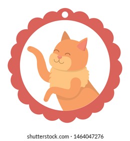 Cat cartoon design vector illustrator