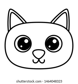 Cat cartoon design vector illustrator