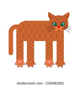 Cat cartoon isolated. Pet vector illustration. Home Animal 