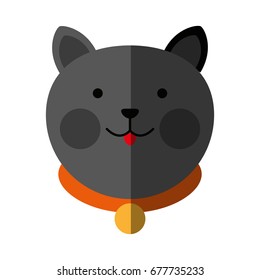 cat cartoon pet animal icon image 
