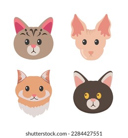 cat cartoon. pet characters illustration