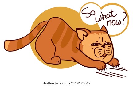 El gato es una pelirroja de dibujos animados con la inscripción Y ahora qué. El gato gordo y gordo de la historieta muestra emociones. El gatito es un animal con emociones en la cara. Ilustración vectorial de un gato rojo rascando el piso