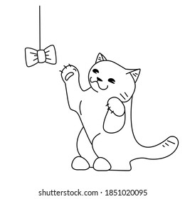 The cat catches a bow. Vector outline illustration.