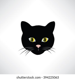 Cat. Cats face isolated. Pet design element