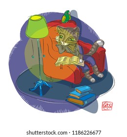 cat in a chair reading a book