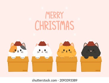 Cat character design. Cute cat in box vector icon illustration.