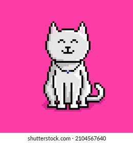 Cat character in pixel art style