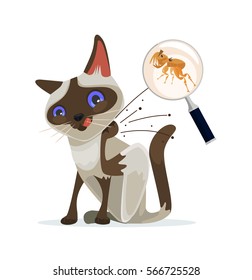 Cat character scratches fleas off. Vector flat cartoon illustration