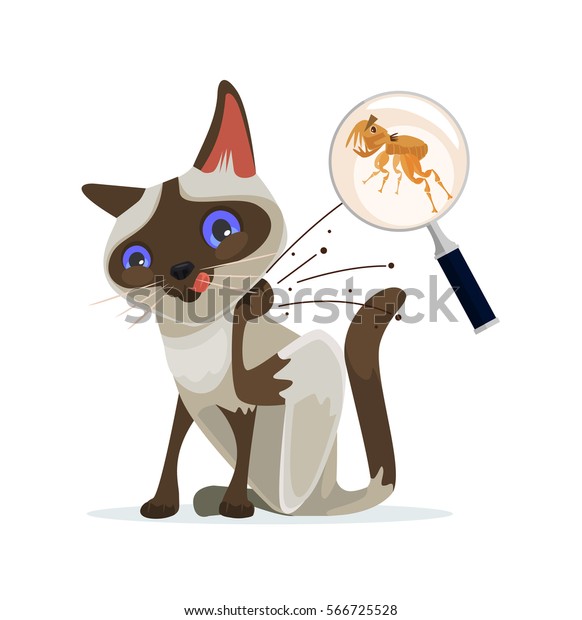 猫のキャラクターがノミを掻く ベクター平面の漫画イラスト のベクター画像素材 ロイヤリティフリー 566725528
