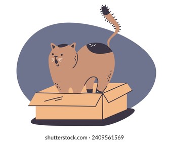 Cat character sitting in carton box isolated concept. Vector design graphic illustration