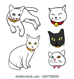 cat character sketch